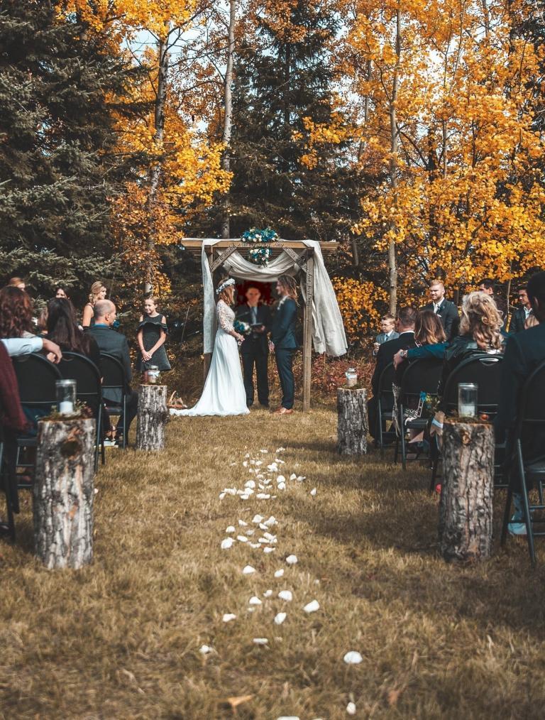 unsplash angleshot3 naeher 768x1014