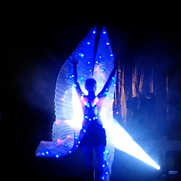 Lichtshow led sabrina wolfram kuenstlerin Fellbach firmenevent tagung lightshow tanzshow artisten buchen fellbach schwabenlandhalle 768x768