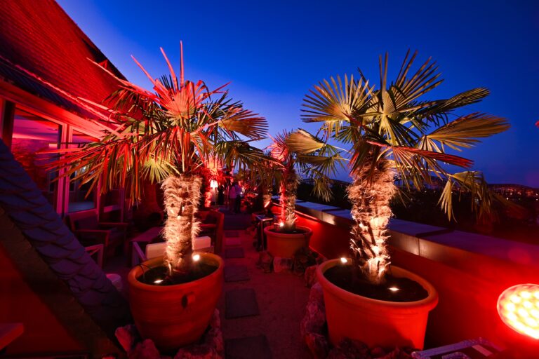 04 Dachgarten 768x512