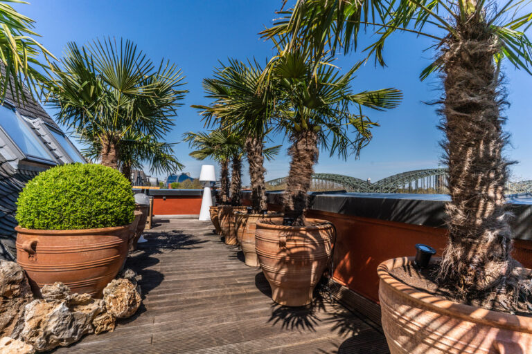 12 Dachgarten 768x512